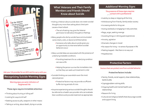 The VA ACE brochure