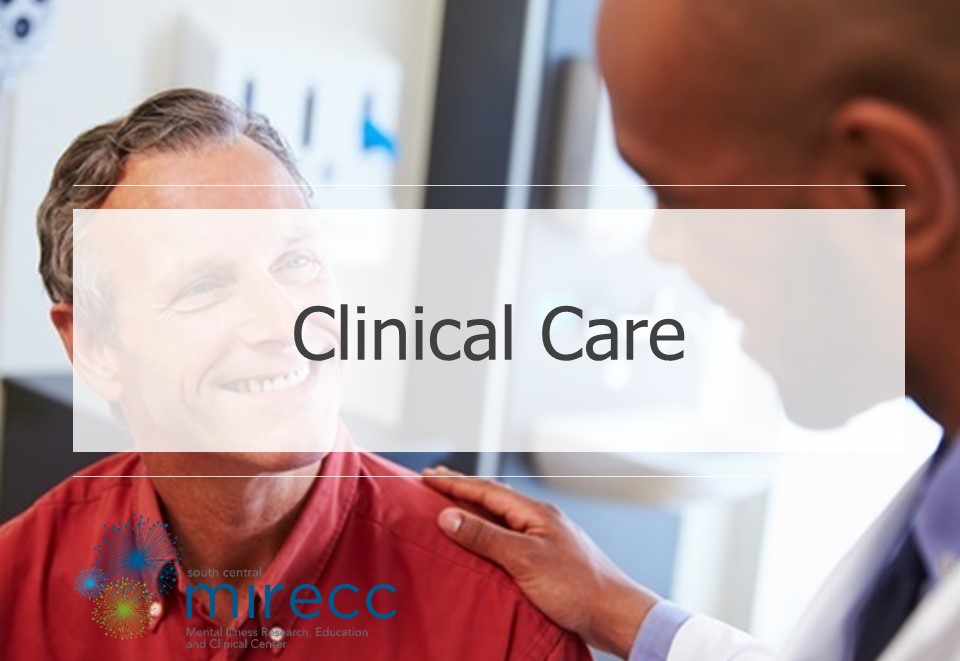Image banner for the SC MIRECC clinical care core featuring the SC MIRECC logo and a picture of a doctor talking to a smiling patient