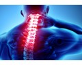 Person with highlighted spinal column