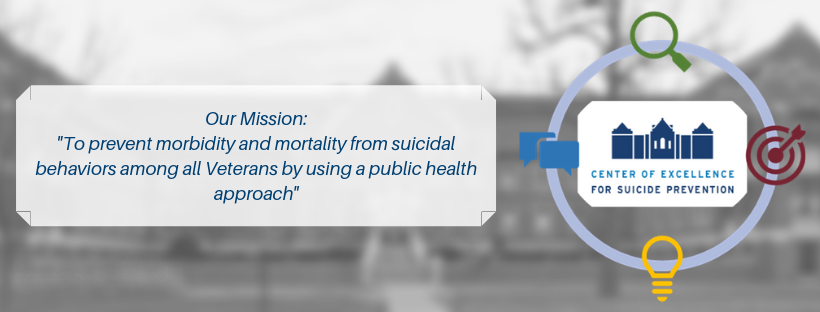 VISN 2 Center of Excellence for Suicide Prevention