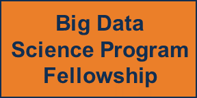 Big Data Fellowship Page