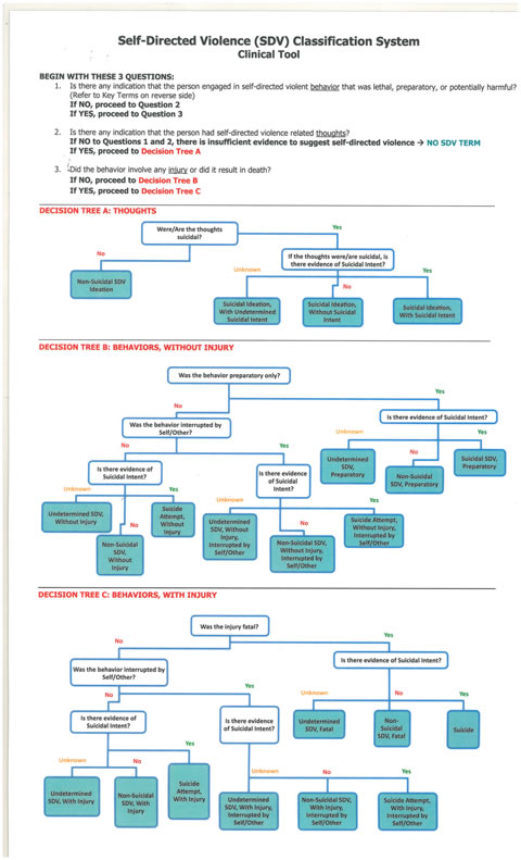 SDVCS Nomenclature Laminated (with decision tree)