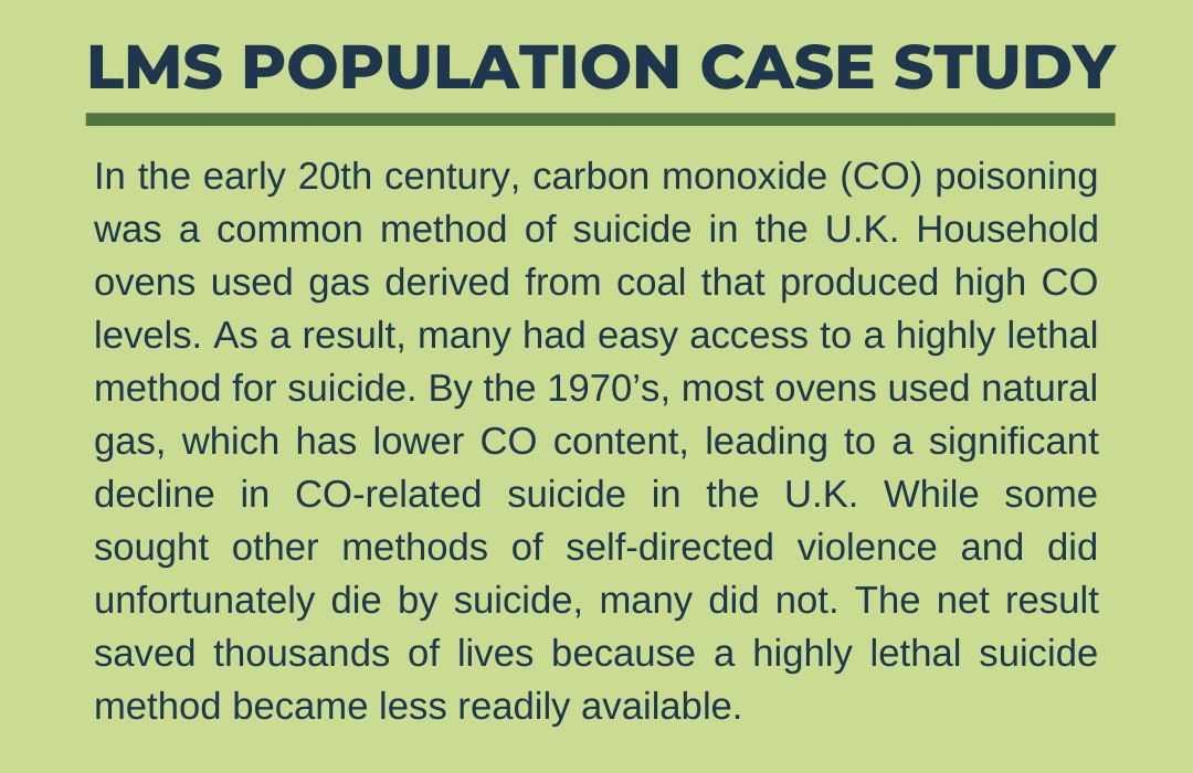 LMS inhalants population case study