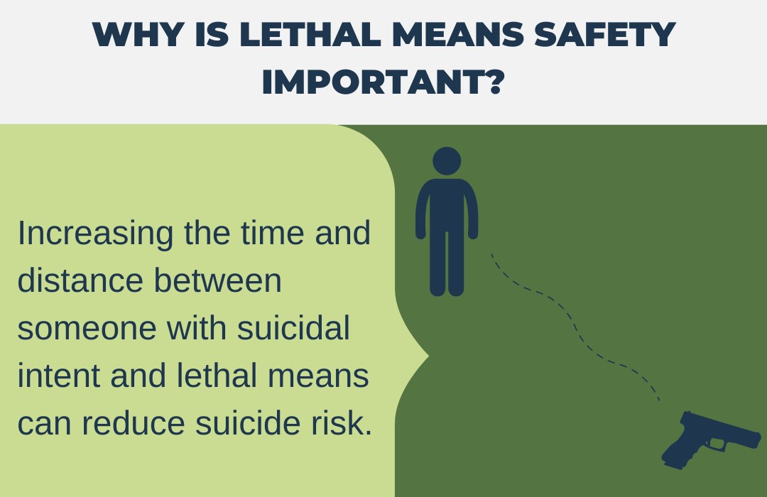 Why is Lethal Means Important?