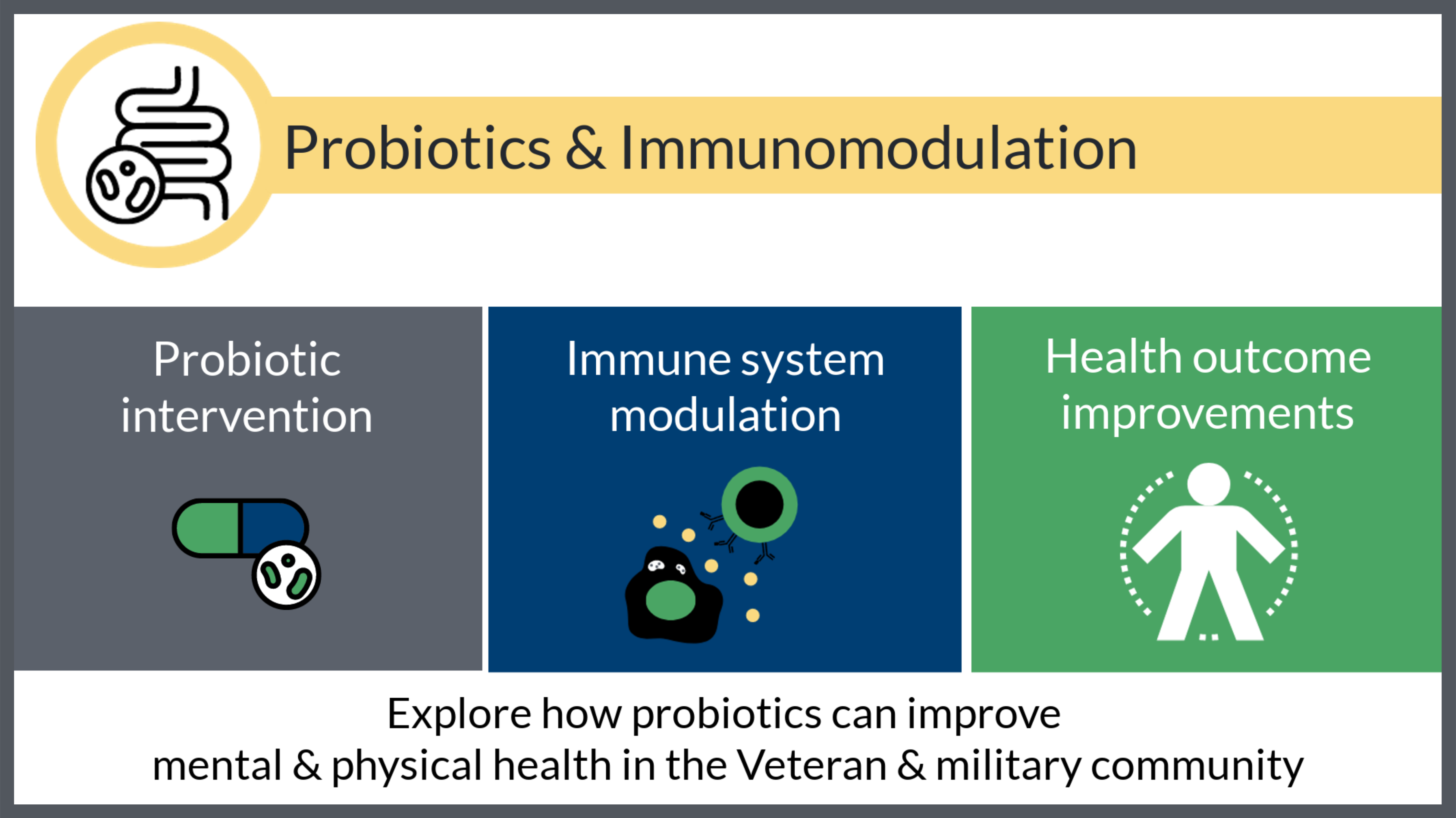 Probiotics and Immunomodulation