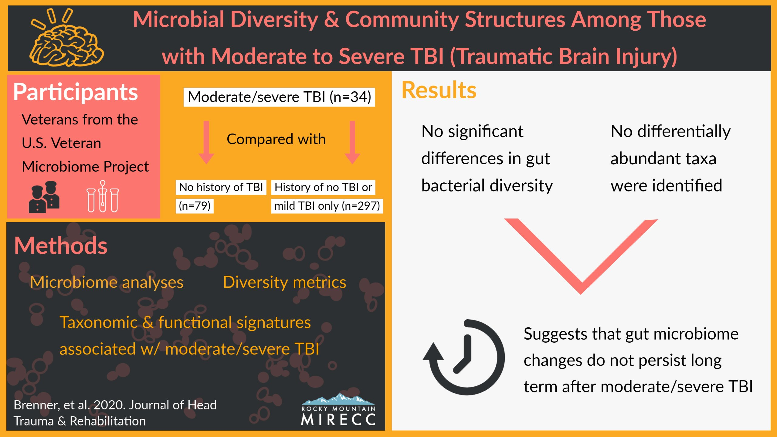 VMP TBI visual abstract