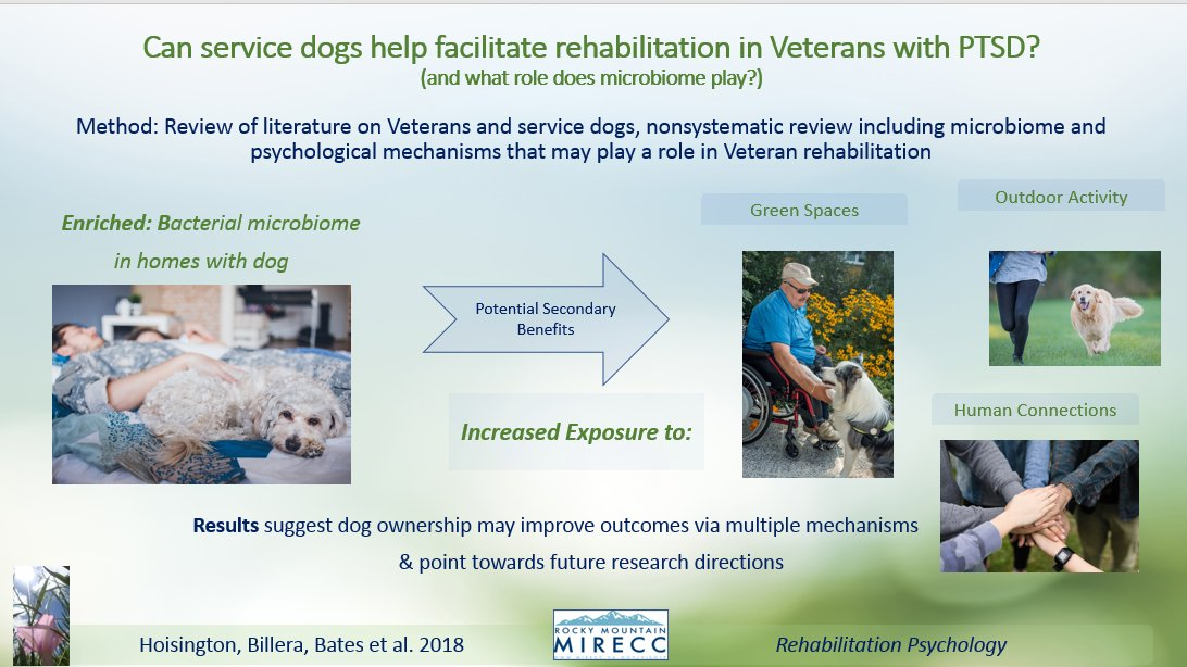 Environment service dog visual abstract