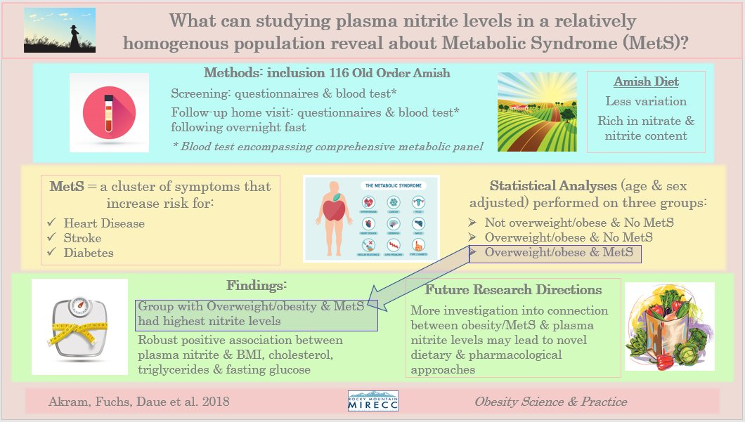 Old Order Amish visual abstract