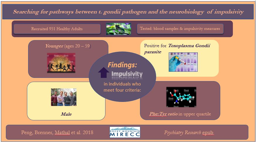 Toxoplasma gondii visual abstract