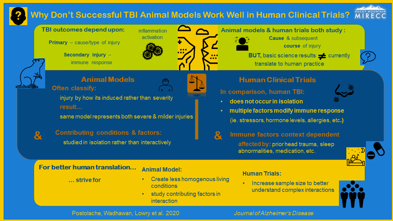 Inflammation in TBI visual abstract