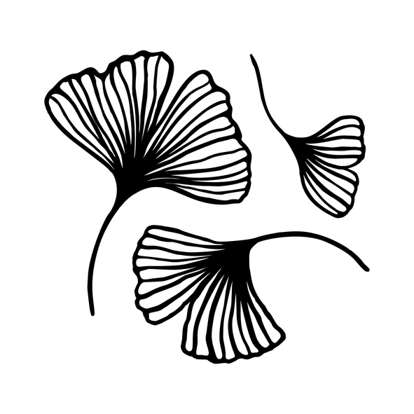 Gingko Leaf Icon