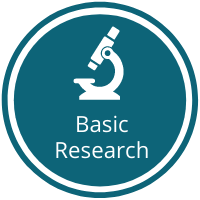 Basic Research Phase