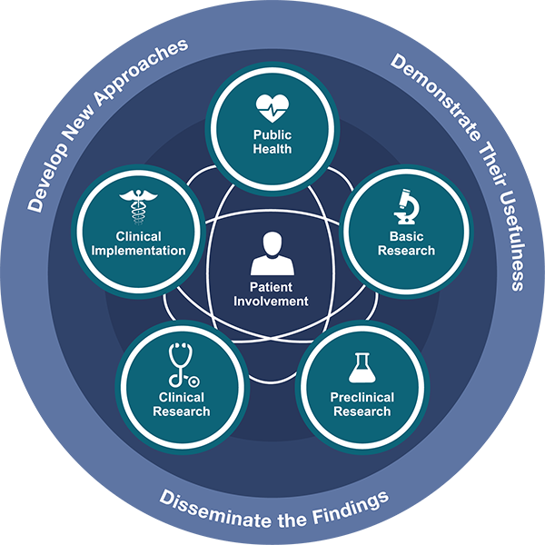 NIH Translational Science Spectrum