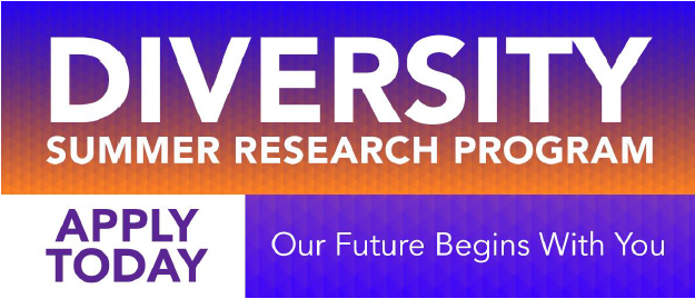 Diversity Summer Research Program website