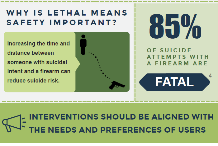 Firearm-Locking-Devices Infographic