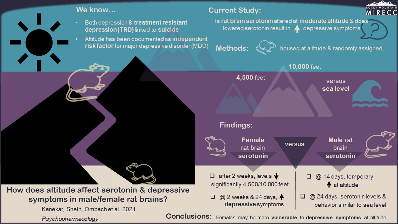 How does altitude affect serotonin & depressive symptoms in rats