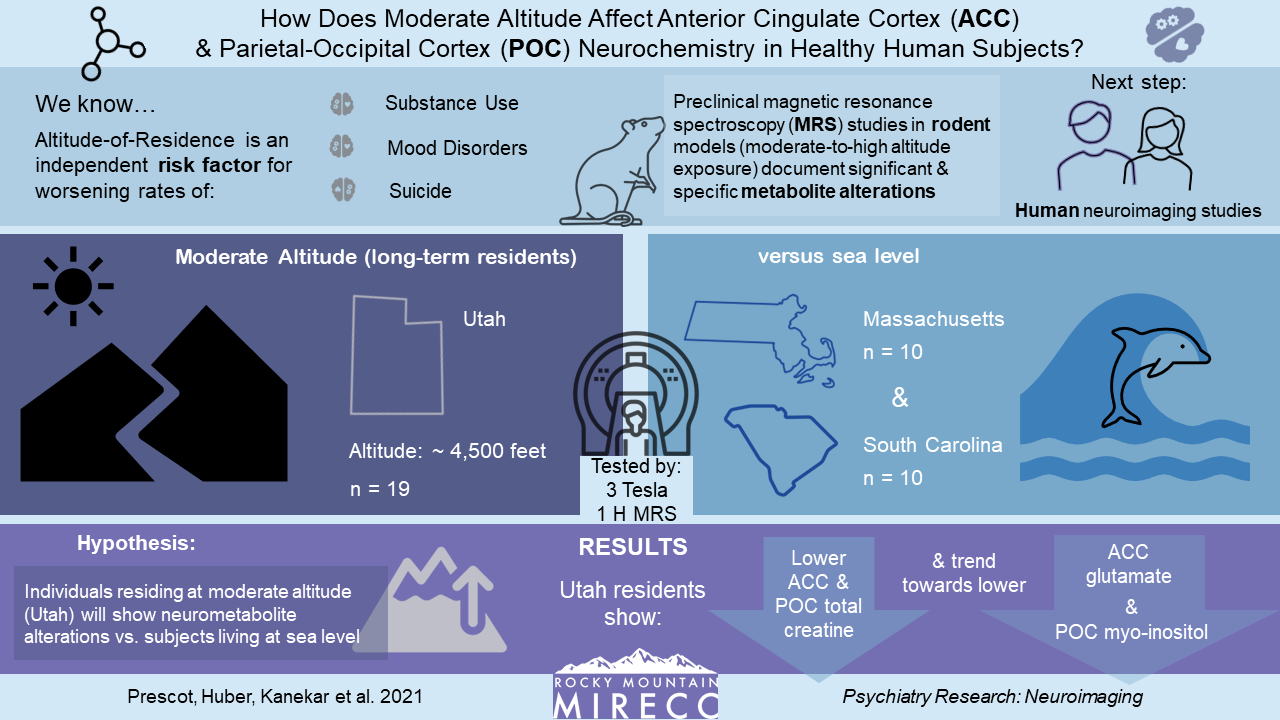 From rodent to human studies, how does #altitude affect neurochemistry? 