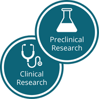 Preclinical & Clinical Research Phase