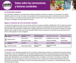 Datos sobre las conmociones y lesiones cerebrales