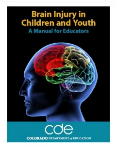 Brain Injury in Children and Youth