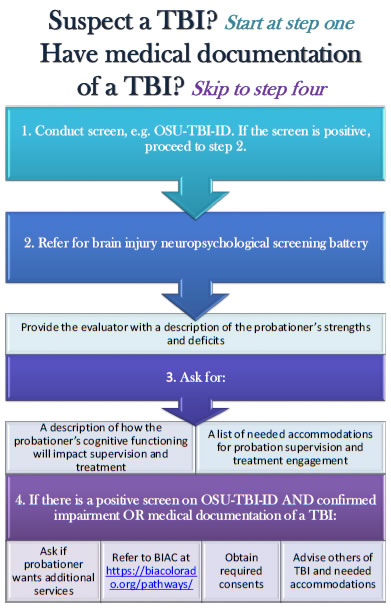 Practical Application for assessing a T B I