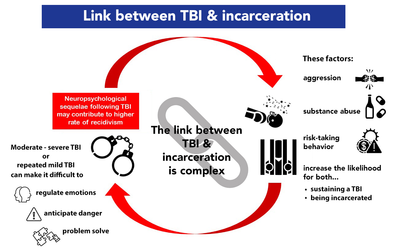 Infographic depicting a cyclical pattern with TBI leading to behavioral effects that lead to likelihood for behaviors that create higher risk for sustaining TBI or incarceration, which can lead to the TBI behavioral effects again. (transcript below contains full text)