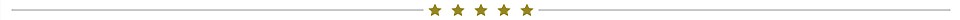Gold Star Section Divider